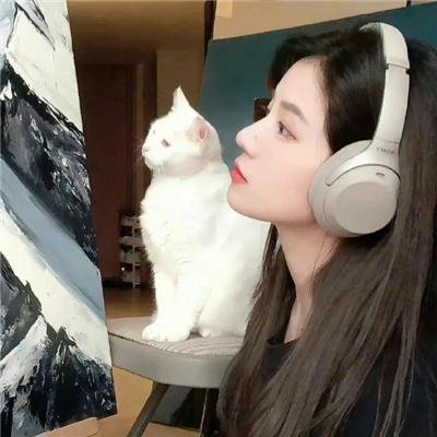 快乐的小鸡